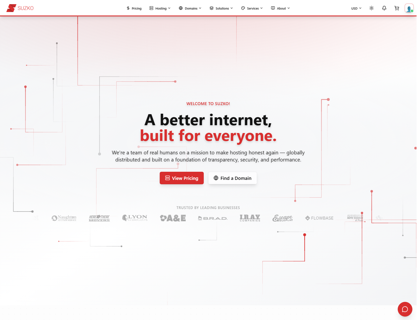 Suzko website preview